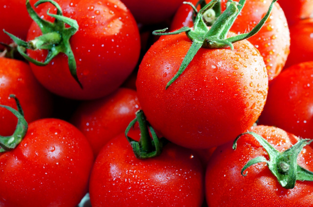 トマトの栄養を凝縮！　トマトパウダー